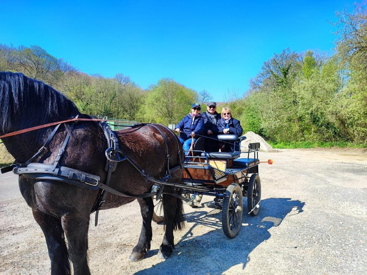 Eco-Gite La Chambre Du Vanneur Mentheville Eksteriør billede