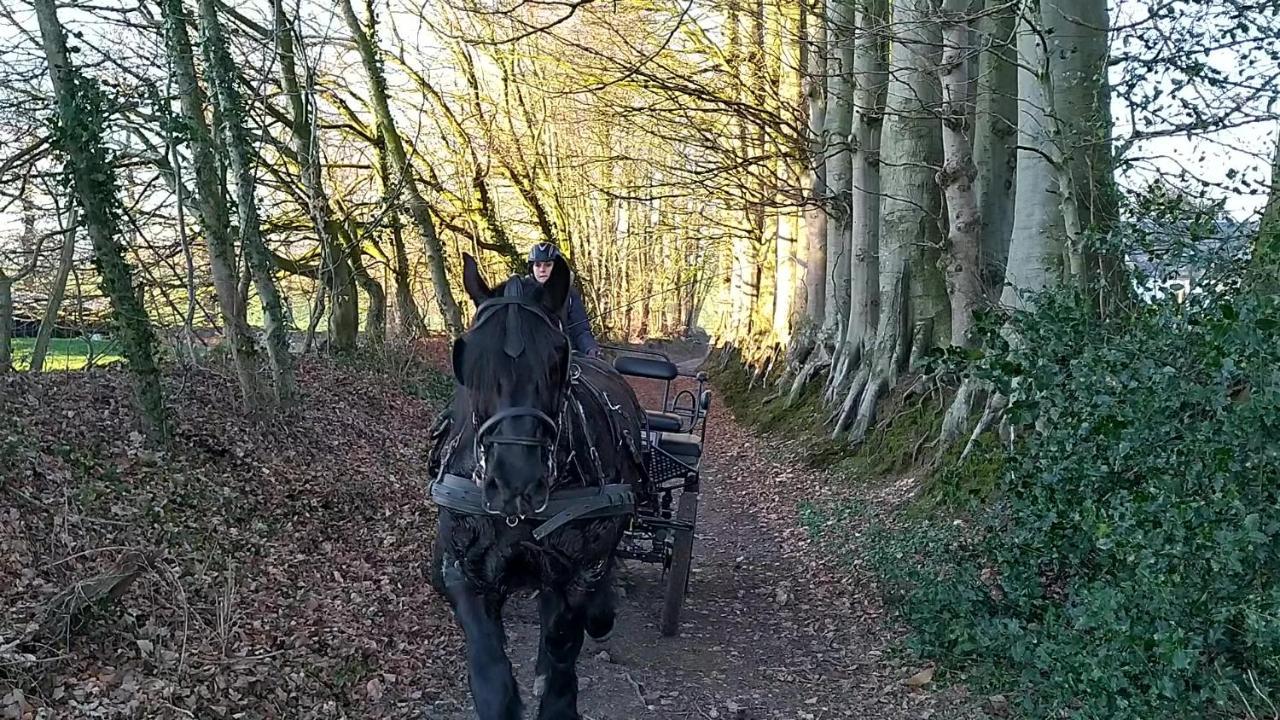 Eco-Gite La Chambre Du Vanneur Mentheville Eksteriør billede
